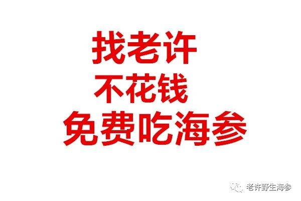 2020年海參可以這么買，讓老許做你身邊的專業海參買手，超級超級省錢！